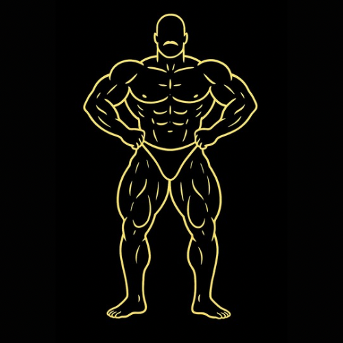 Men's bodybuilding